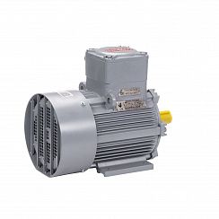Электродвигатель АИМУ 100 L2 У1, 380В, 1ExdIIBT4 Gb, 5,5/3000 IM1081