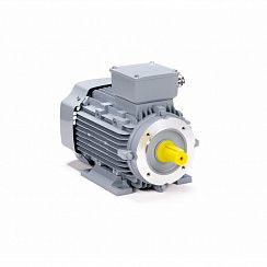 Электродвигатель ESQ PR 80 A4-SDN-Б1-S12-IE3 0,55/1500 IMB34