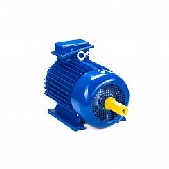 Электродвигатель 5MTKH 132 LB6