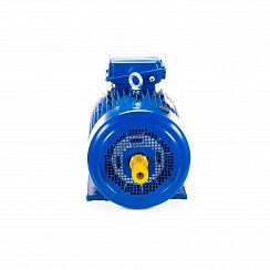 Электродвигатель 5МТКН 411-8 15/750 IM1003